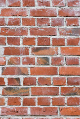 Fototapeta premium Backstein Wand