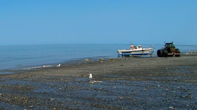A tractor backing a fishing charter boat and trailer into the surf for boat launch on the beach at Anchor Point, Alaska.