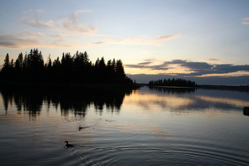 Colours On The Lake, Elk Island National Park, Alberta