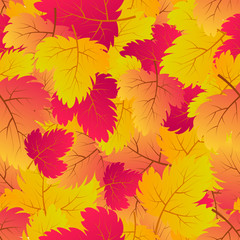 Fototapeta na wymiar Autumn seamless background with maple leaves