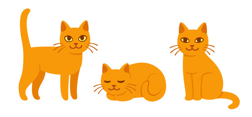 Cartoon cat set