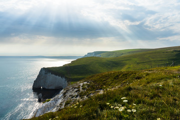 Near Durdle Door 