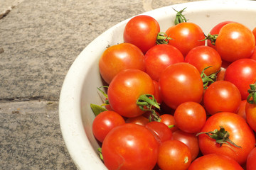 ミニトマト - Fresh cherry tomatoes