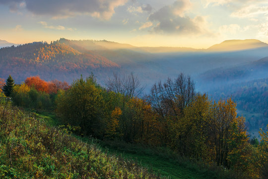 amazing foggy sunrise in autumn. beautiful mountain landscape at dawn. trees on the hill in fall foliage. clouds on the sky