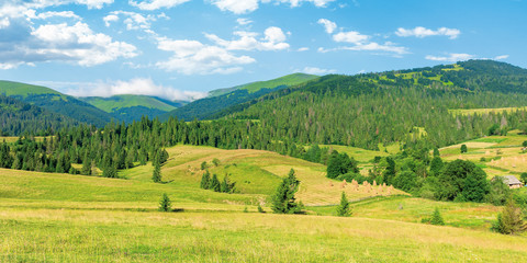 beautiful panoramic countryside in the morning. cloud sitting on the mountain ridge. beautiful sunny weather. rural fields on rolling hill of forested borzhava radge, transcarpathia ukraine