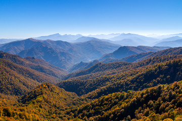 Scenic landscape with trees in mountain forest in autumn