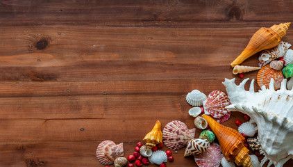 Closeup assorted colorful seashells on vintage wooden texture background