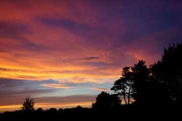 Beautiful colorful sunset with purple and pink clouds over a dark forest silhouette