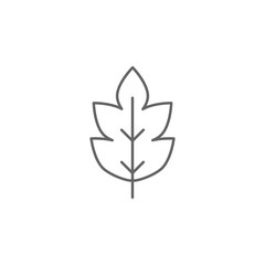 Prehistoric leaf icon. Element of prehistoric line icon