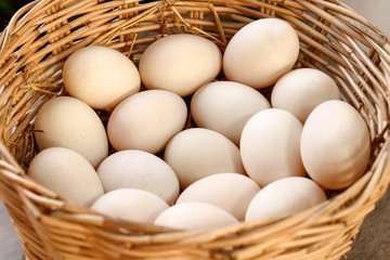 Farmers hold many duck eggs in a basket to be eaten as food.