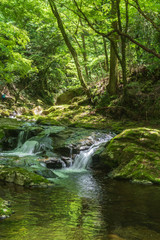 Fototapeta premium Akameshi 48 wodospadów w prefekturze Mie