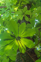 Akameshi 48 waterfalls in Mie Prefecture