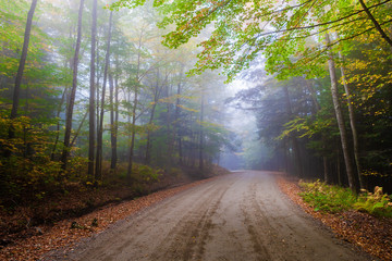 Road through morning fog and  autumn trees, Stowe Vermont, USA