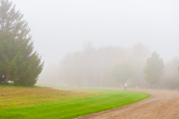 Solitary man walking along a dirt road on a foggy morning, Stowe, Vermont, USA
