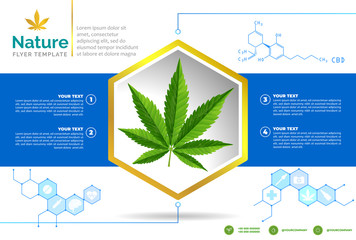 Cannabis or marijauna medical poster desing.