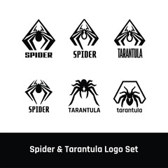 Spider & Tarantula logo icon emblem design vector template - Vector