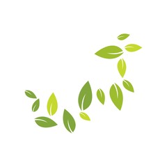 Green leaves background