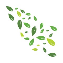 Green leaves background