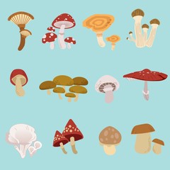 The collection of mushroom pack set. a many type of mushroom on the blue background. season of mushroom. cute mushroom in flat vector style.