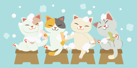 The character of cute cats washing hair together.The cats smiling and it look so fun.the cats washing hair with a lot of bubble on the blue background.the character of cute cat in flat vector 