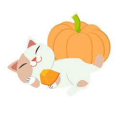 The cute cat with the pumpkin. The character cartoon of cute cat play with the pumpkin. The cat look happy. The character of cute cat in the flat vector style