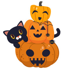The character of cute cat with the halloween pumpkin. The pumpkin halloween with a black cat. The spider climb the halloween pumpkin. The character of cute black cat in flat vector style.