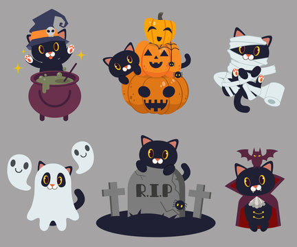 The black cat cast magic with the wicth pot.The pumpkin halloween.The cute black cat as mummy with toilet paper.The ghost by blanket.The cat garps on the gravestone.The vampire cat and a bat.