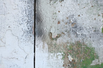 Wall texture