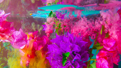 Color and roses in water 