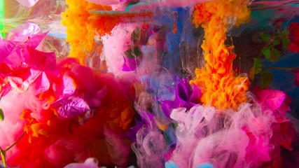 Color and roses in water 