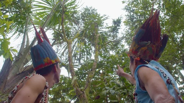 Indigenous Father Teaching To His Son Medicinal Plants In The Amazon Rainforest In Ecuador