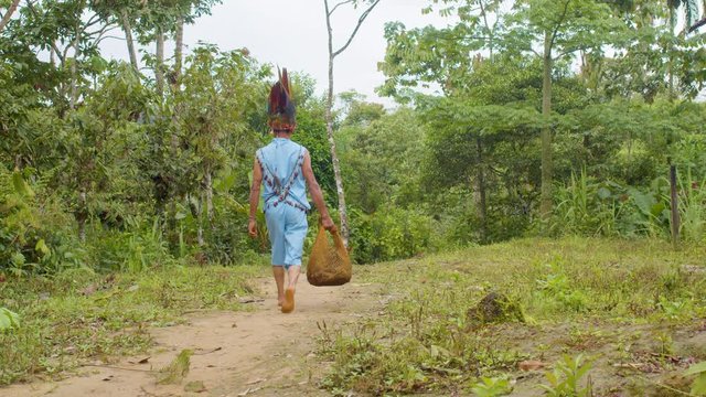 Indigenous Old Man Carrying A Bag With Ayahuasca Sticks In The Amazon Rainforest In Ecuador