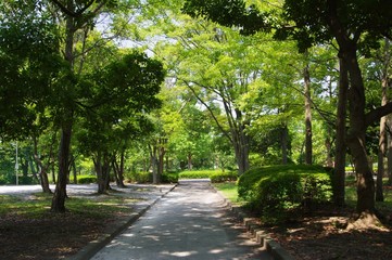 猿江恩賜公園内の遊歩道