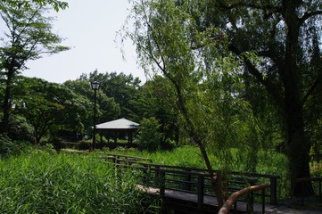 猿江恩賜公園の風景