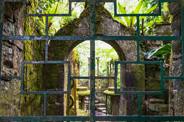 abandoned surrealistic Garden in Xilitla Mexico