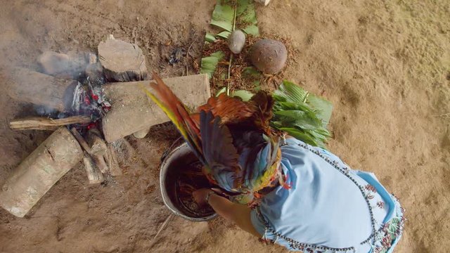 Amazonian Indigenous Chief Praying And Cooking Ayahuasca In Ecuador