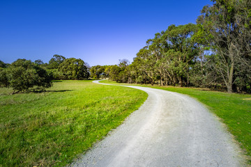 Fototapeta na wymiar Winding rural road among native Australian trees in bright daylight with clear sky