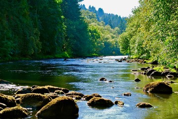 Tualatin River 1 - Powered by Adobe
