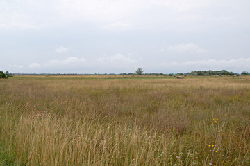 Landscape shot in the national park Neusiedler See in Illmitz Burgenland