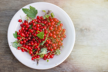 mix of ripe berries on wooden background