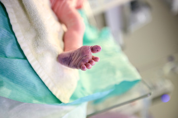 newborn baby feet in the incubator