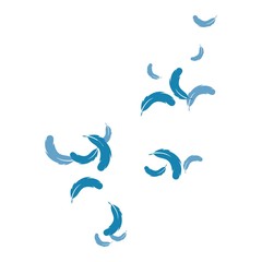 Obraz premium Feather background