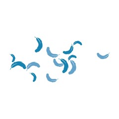 Feather background
