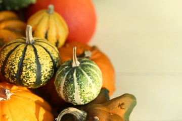 Autumn pumpkin.Multicolored decorative pumpkins set on wooden yellow background.Autumn harvest .Autumn abundance.copy space.