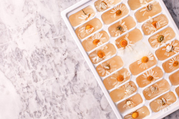 Herbal ice cubes, summer refreshing skincare.Fresh frozen herbs daisy camomile flowers on marble plate. Alternative medicine cosmetic beauty care concept