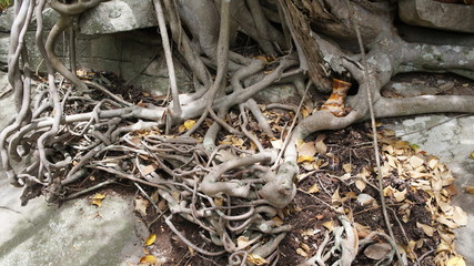 Puzzles that must be searched