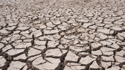 Soil lacking water, causing cracking