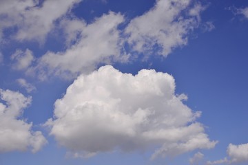 青空に浮かぶ夏雲