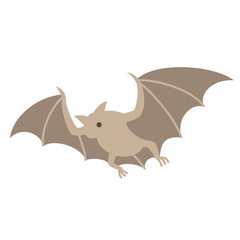 コウモリ