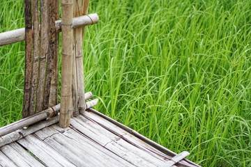 Old bamboo made as a fence with blurred background, green nature and free space  